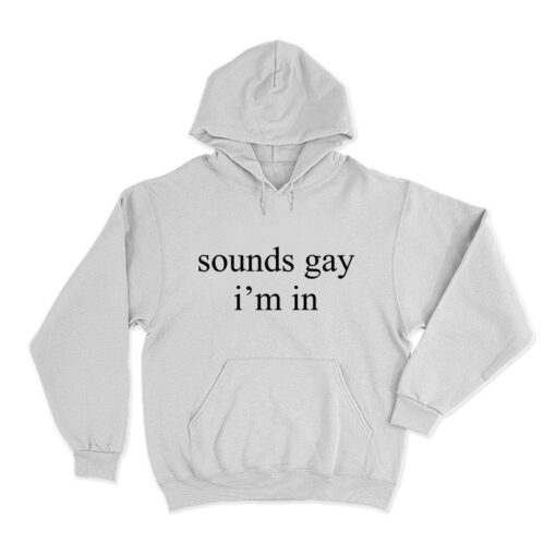 Sounds I'm Gay In Hoodie