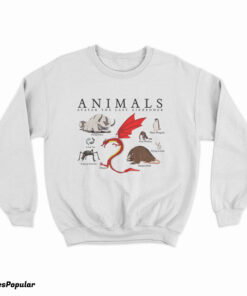 Animals Avatar The Last Airbender Sweatshirt