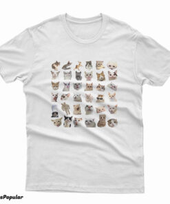 Hilarious Cat Meme T-Shirt